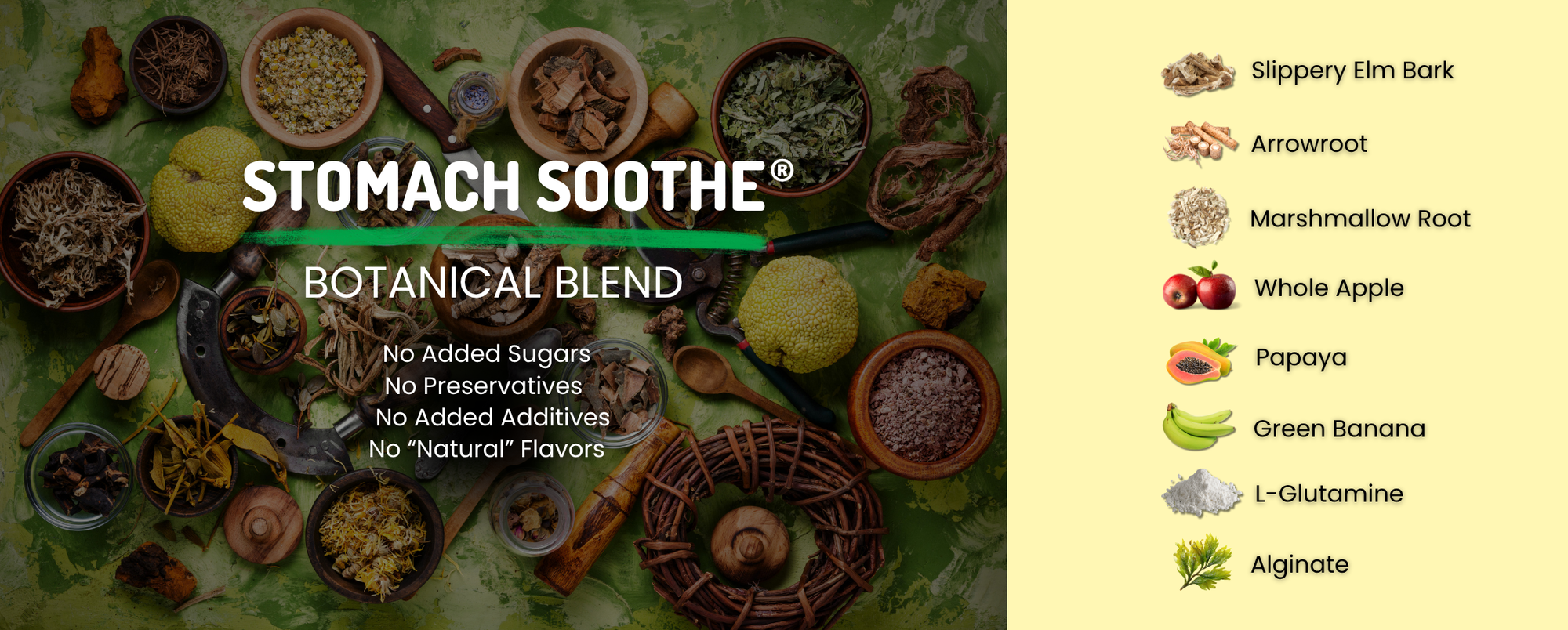 Stomach Soothe Botanical Blend graphic with claims of no added sugars, preservatives, anti caking additives, or natural flavors, alongside a list of ingredients.