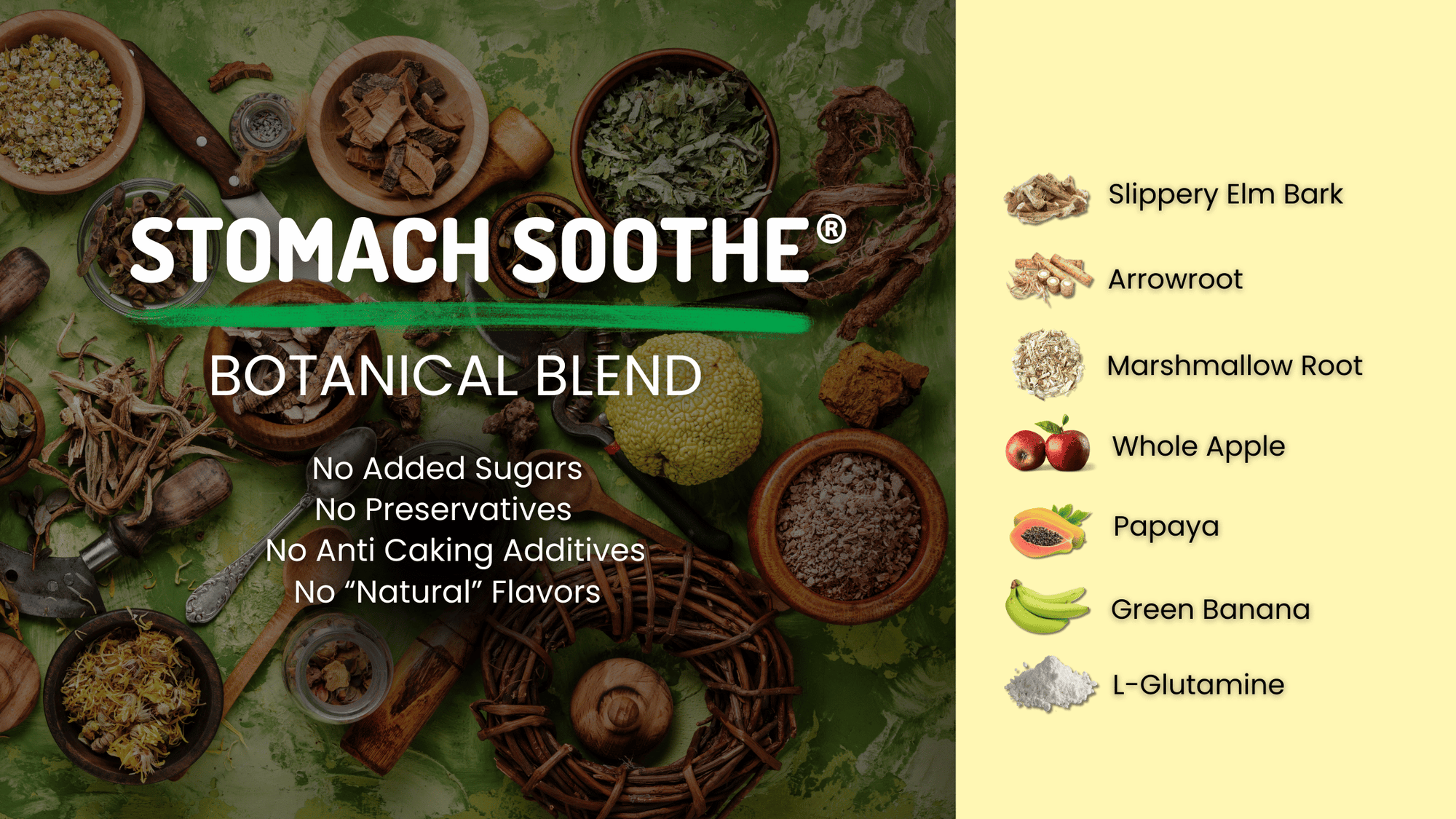 Stomach Soothe Botanical Blend graphic with claims of no added sugars, preservatives, anti caking additives, or natural flavors, alongside a list of ingredients including slippery elm bark, arrowroot, marshmallow root, whole apple, papaya, green banana, and L glutamine.
