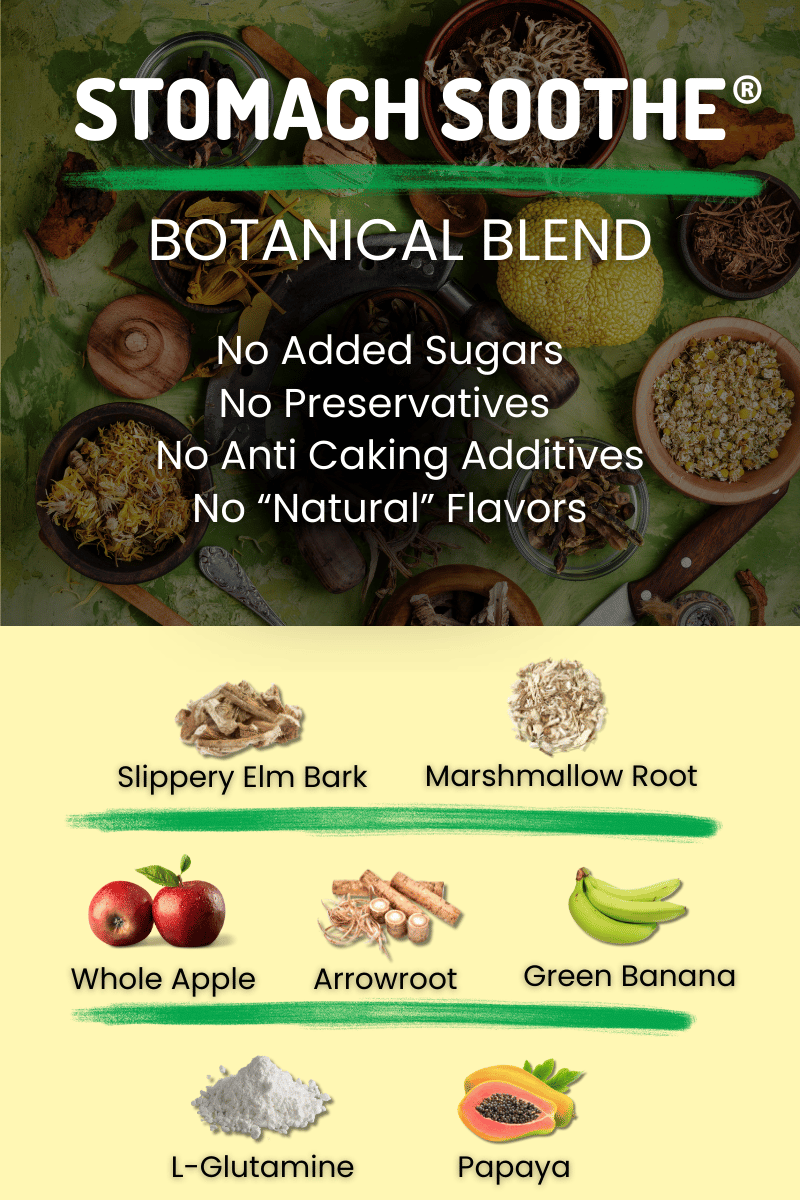  Stomach Soothe Botanical Blend graphic with claims of no added sugars, preservatives, anti caking additives, or natural flavors, alongside a list of ingredients including slippery elm bark, arrowroot, marshmallow root, whole apple, papaya, green banana, and L glutamine.