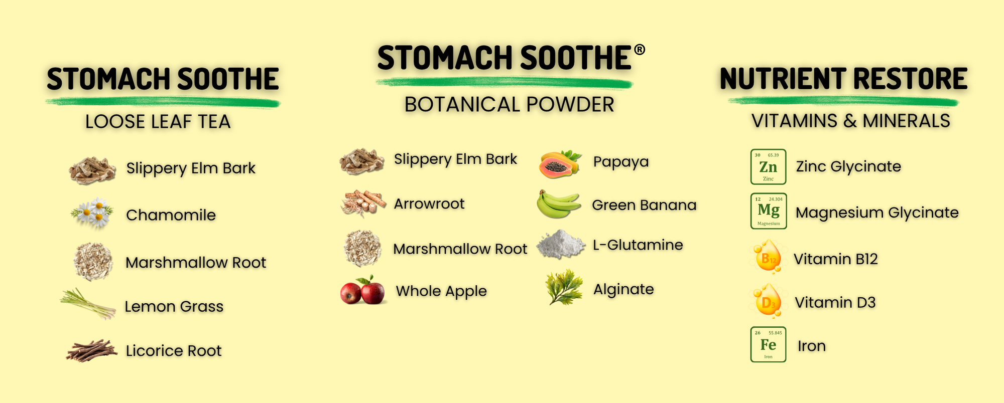 Ingredient overview graphic showing Stomach Soothe loose leaf tea and botanical powder formulas alongside Nutrient Restore vitamins and minerals, listing key ingredients for each product.