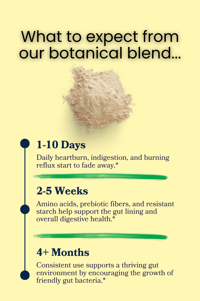 Graphic titled What to expect from our botanical blend showing Stomach Soothe powder with a timeline stating days one to ten heartburn and indigestion begin to fade, weeks two to five support gut lining and digestive health, and four plus months support a thriving gut environment.