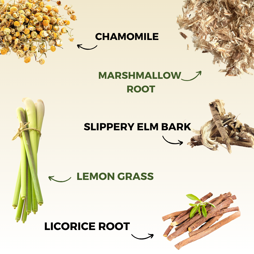 Stomach Soothe tea botanical ingredients including chamomile, marshmallow root, slippery elm bark, lemon grass, and licorice root.